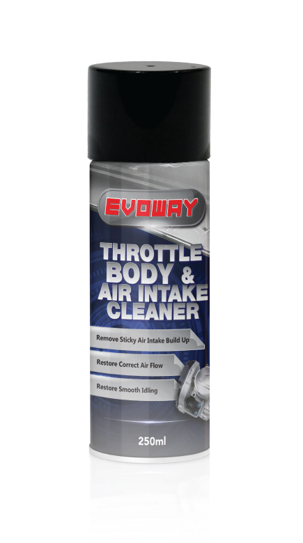 Throttle Body & Air Intake Cleaner